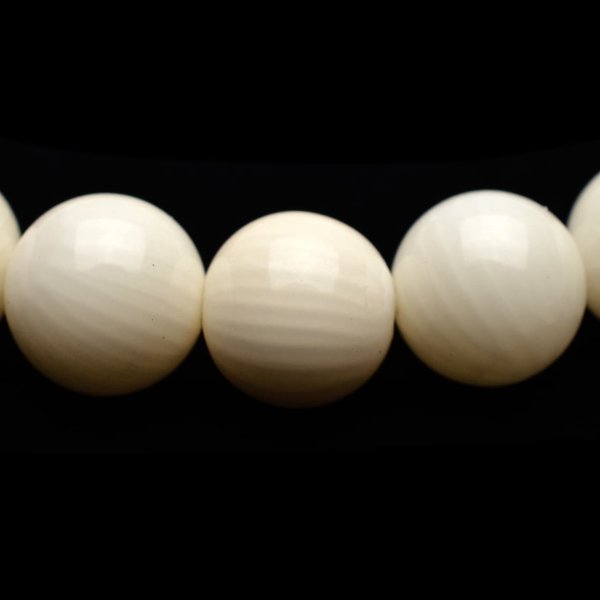 ホワイトコーラル(白珊瑚)(3Aランク) - 8mm玉、サイズ15.5cm | 天然石