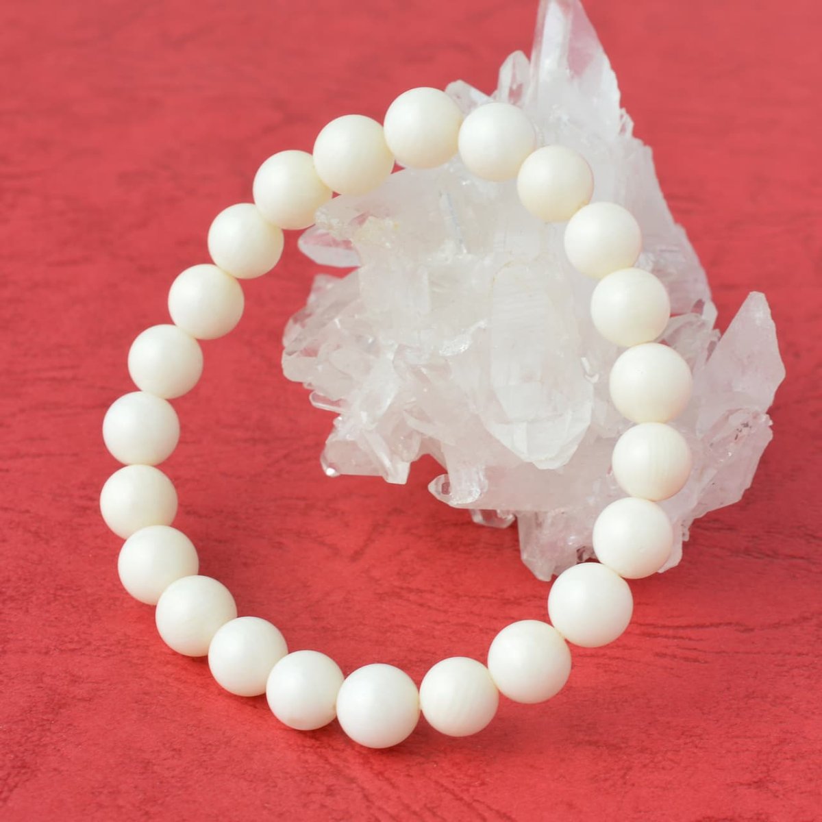 画像8: ホワイトコーラル(白珊瑚)(3Aランク) - 8mm玉、サイズ15.5cm (8)